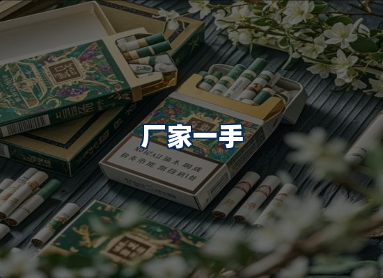 专业团队办公环境